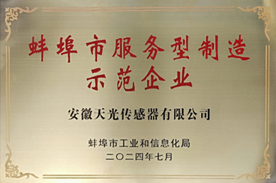 蚌埠市服務型制造示范企業